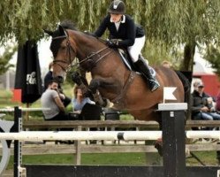 Springpferd Lady Gaga E (Belgisches Warmblut, 2011, von Fidjy of Colors)