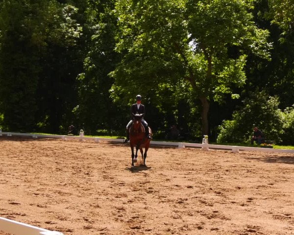 Reitturnier Königsborn 2022