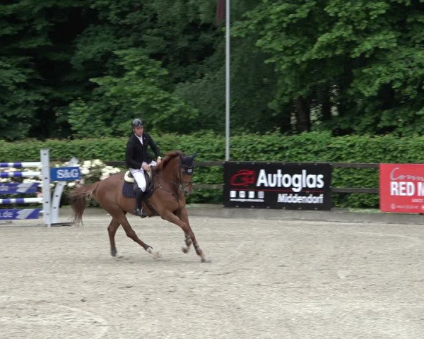 Reitturnier Klein Roscharden 2022