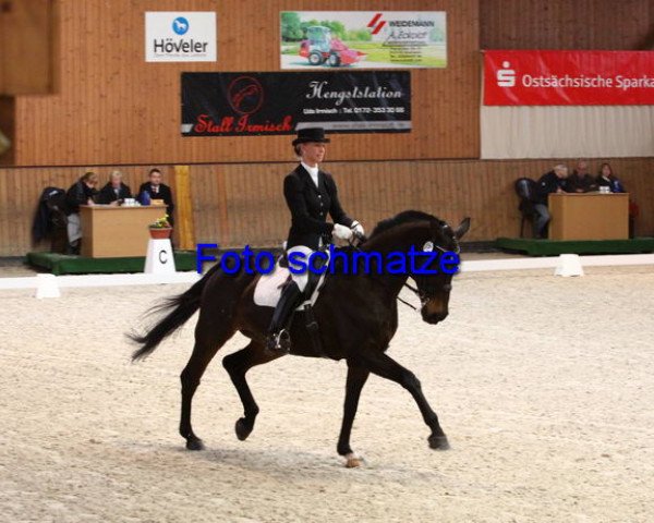 Pferd Larong (Hannoveraner, 1994, von Lavauzelle AA)