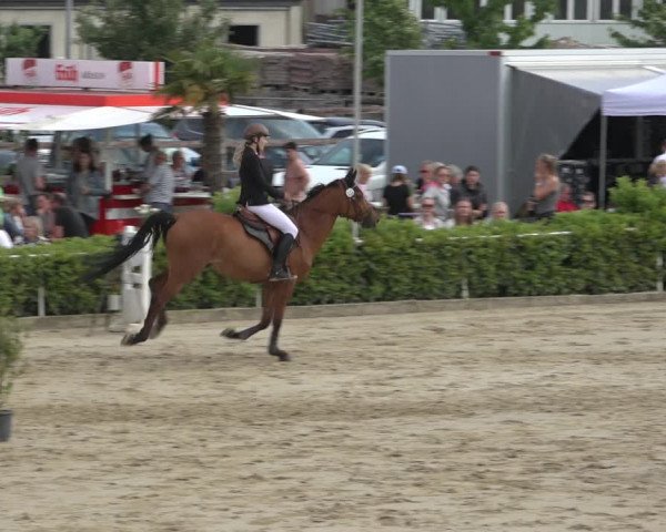 Reitturnier Bornheim-Widdig 2022