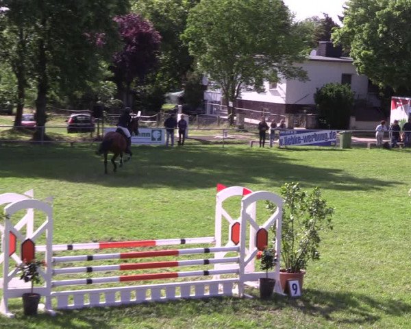 Reitturnier Königsborn 2022