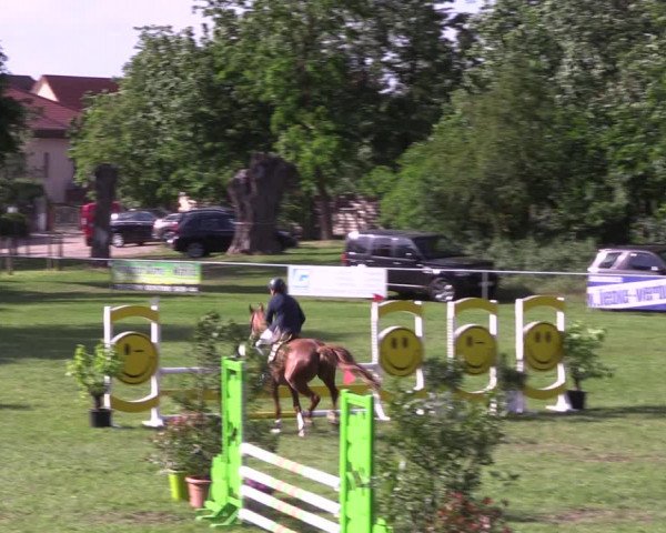 Reitturnier Königsborn 2022