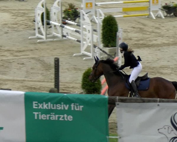 Reitturnier Wädenswil 2022