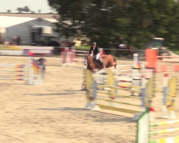 Springreitturnier Hohburg 2021