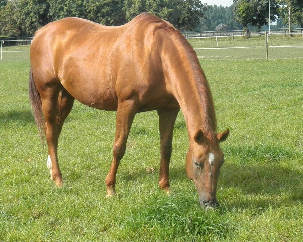 broodmare Fabiola (Rhinelander, 1992, from Fabelhaft)