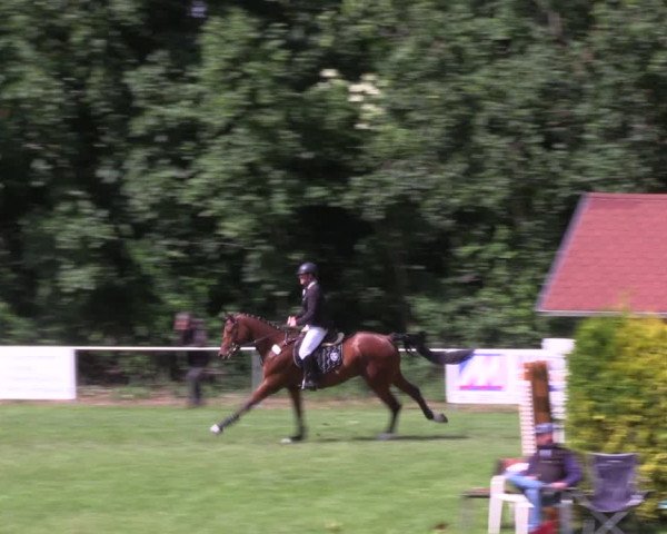 Reitturnier Königsborn 2022