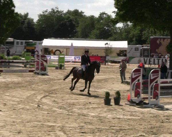 Reitturnier Hellefeld 2022