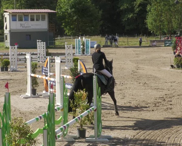 Reitturnier Billigheim 2022