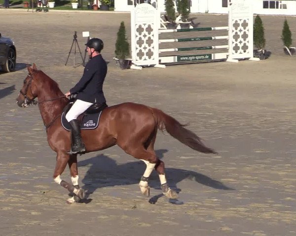 Reitturnier Hamm-Rhynern 2022
