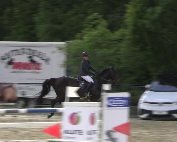 Reitturnier Hellefeld 2022