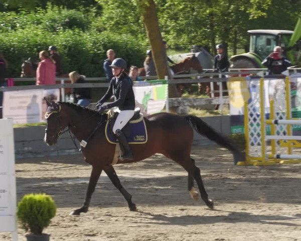 Reitturnier Billigheim 2022