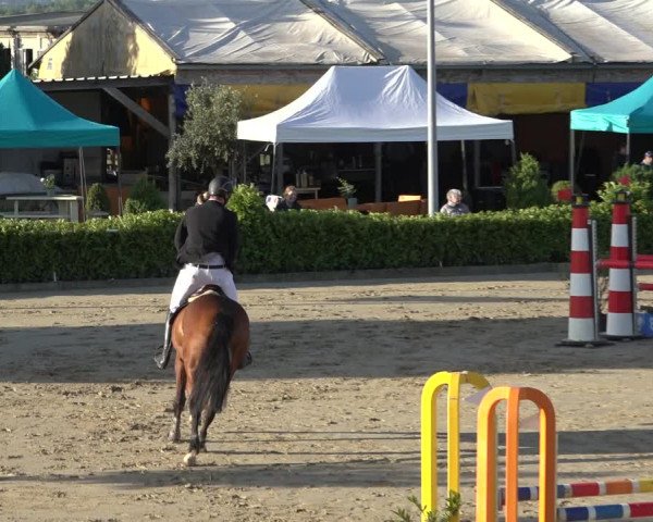 Reitturnier Bornheim-Widdig 2022