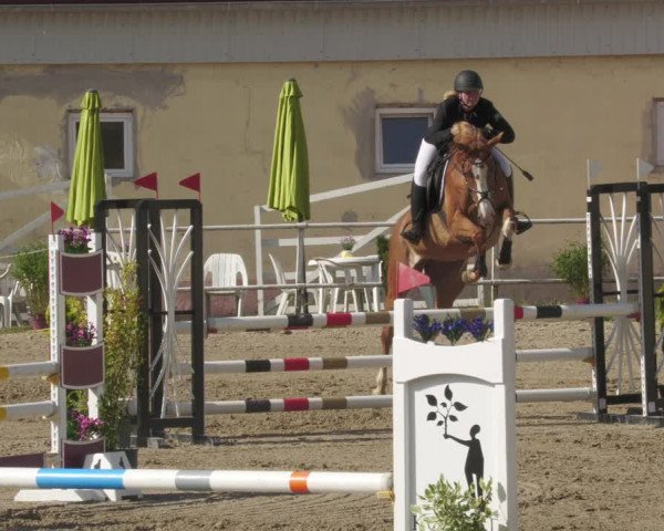 Reitturnier Billigheim 2022