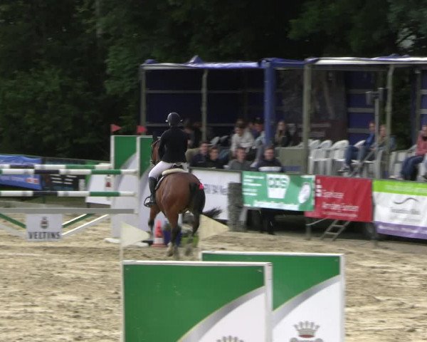Reitturnier Hellefeld 2022