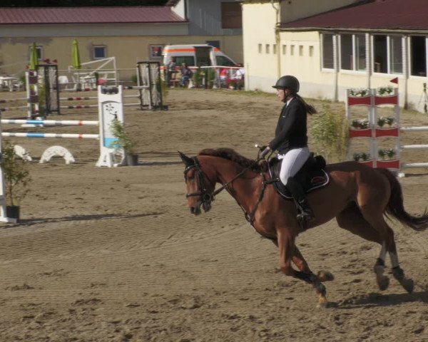 Reitturnier Billigheim 2022