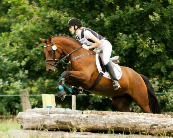 horse Farah-Lea (Oldenburg, 2007, from Dr Doolittle 45)