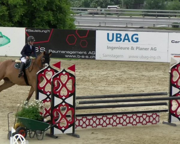Reitturnier Wädenswil 2022