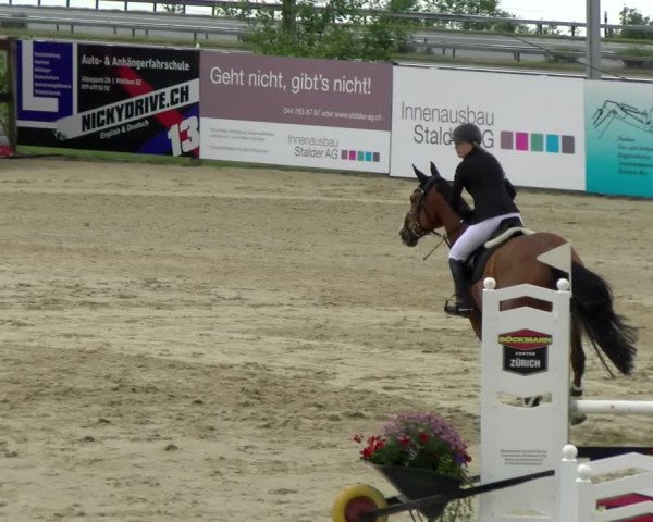 Reitturnier Wädenswil 2022