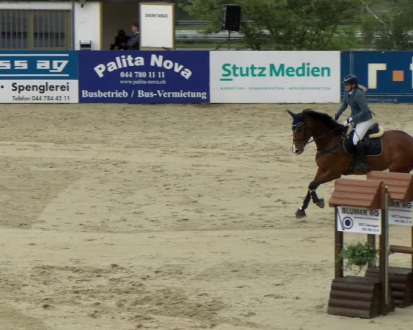 Reitturnier Wädenswil 2022