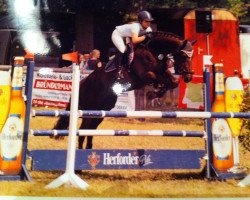 jumper Alpart (KWPN (Royal Dutch Sporthorse), 2005, from Ultimo)