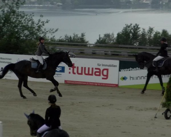 Reitturnier Wädenswil 2022
