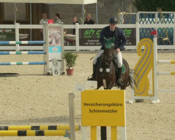 Springturnier Memmingen 2021
