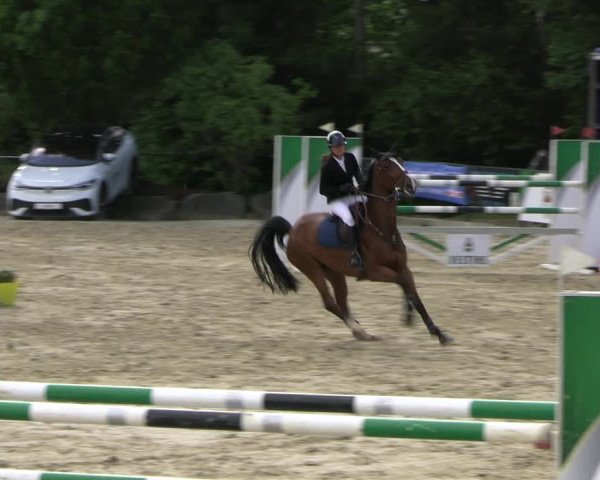 Reitturnier Hellefeld 2022