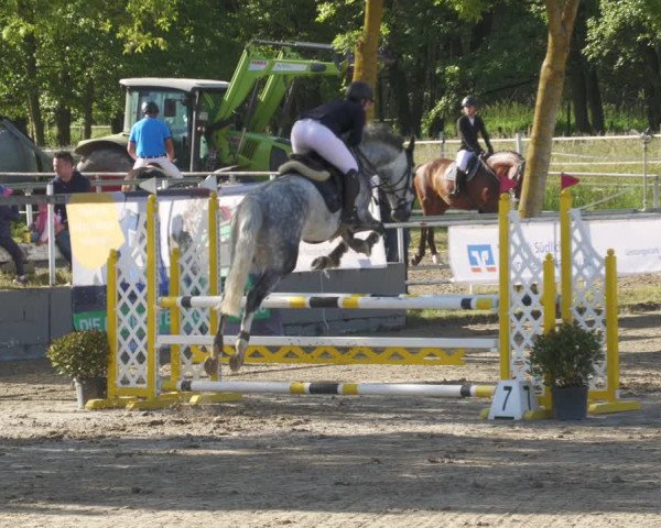 Reitturnier Billigheim 2022