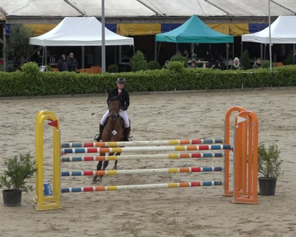 Reitturnier Bornheim-Widdig 2022