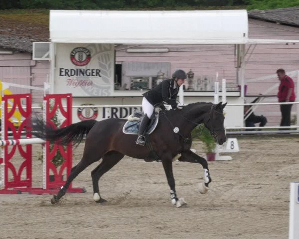 Reitturnier Billigheim 2022
