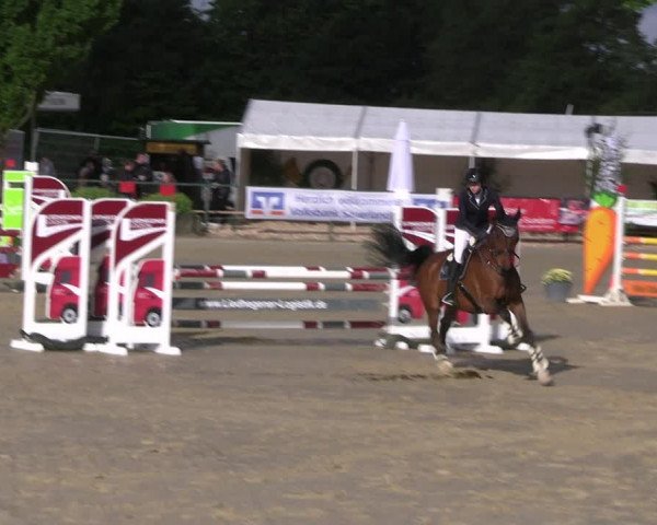 Reitturnier Hellefeld 2022