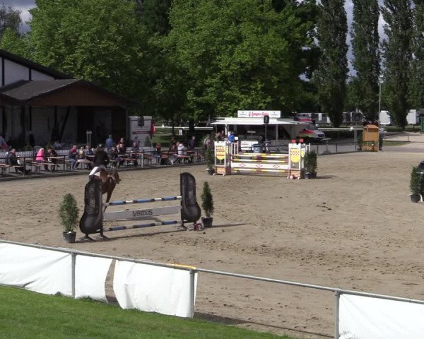 Reitturnier Hamm-Rhynern 2022
