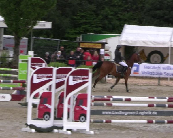 Reitturnier Hellefeld 2022