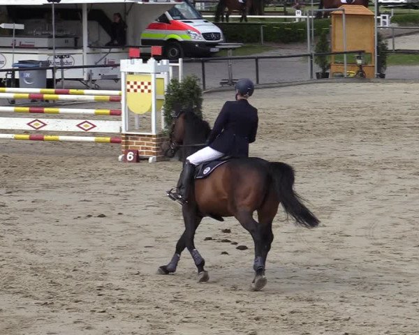 Reitturnier Hamm-Rhynern 2022