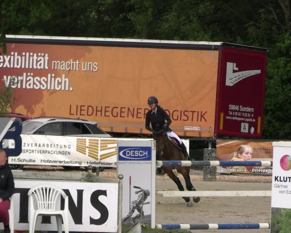 Reitturnier Hellefeld 2022