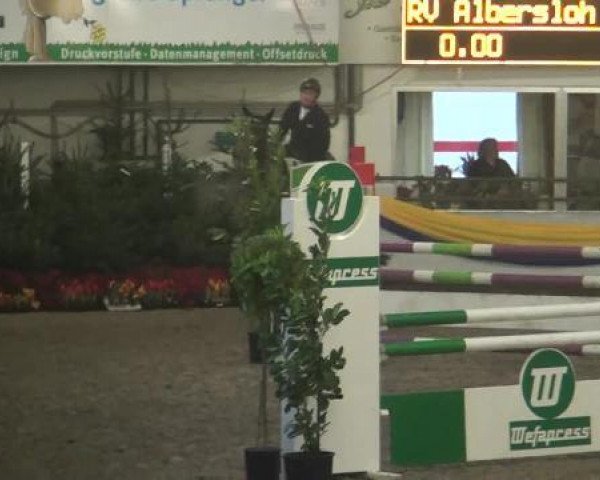 jumper For You 50 (Hanoverian, 2008, from For Edition) jumper For You 50 (Hanoverian, 2008, from For Edition)