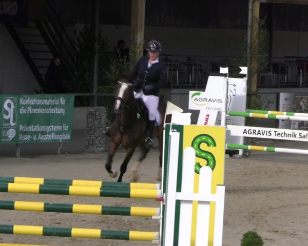Reitturnier Hellefeld 2022