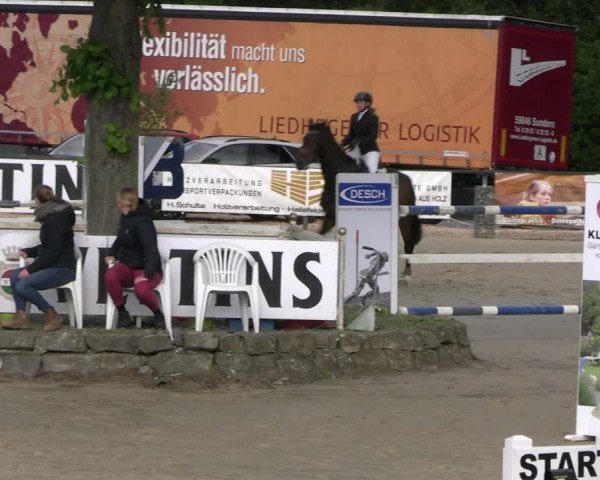 Reitturnier Hellefeld 2022