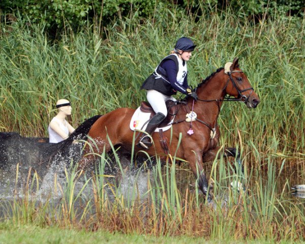Springpferd Luigi (Deutsches Sportpferd, 2006, von Luxius)