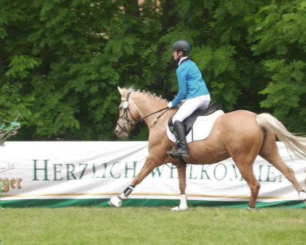 Reitturnier Leingarten 2022