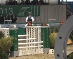broodmare Napoli (German Riding Pony, 2000, from Nuts)