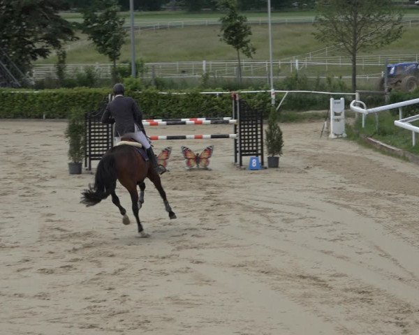 Reitturnier Bornheim-Widdig 2022