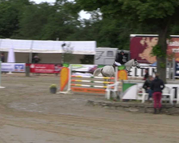 Reitturnier Hellefeld 2022