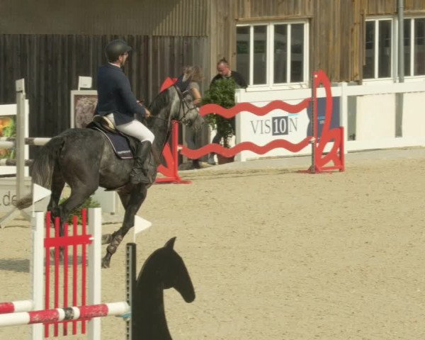 Springturnier Memmingen 2021
