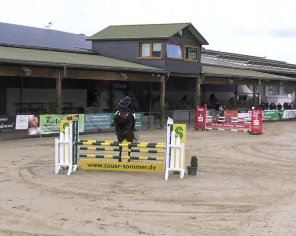 Reitturnier Hellefeld 2022