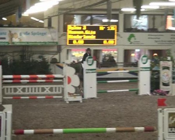 jumper Sterrehof's Bylou (KWPN (Royal Dutch Sporthorse), 2006, from Phin Phin)