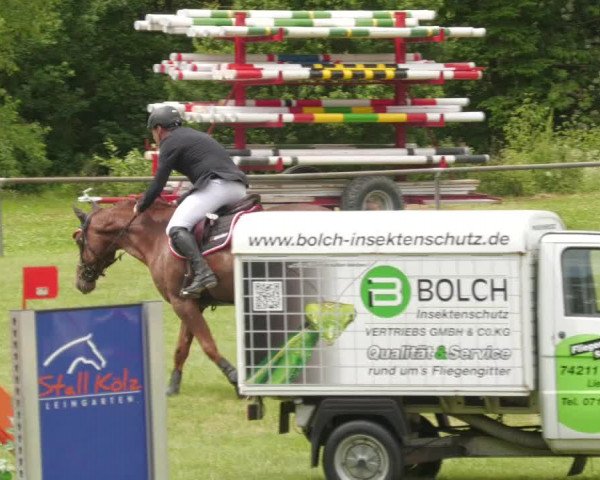 Reitturnier Leingarten 2022