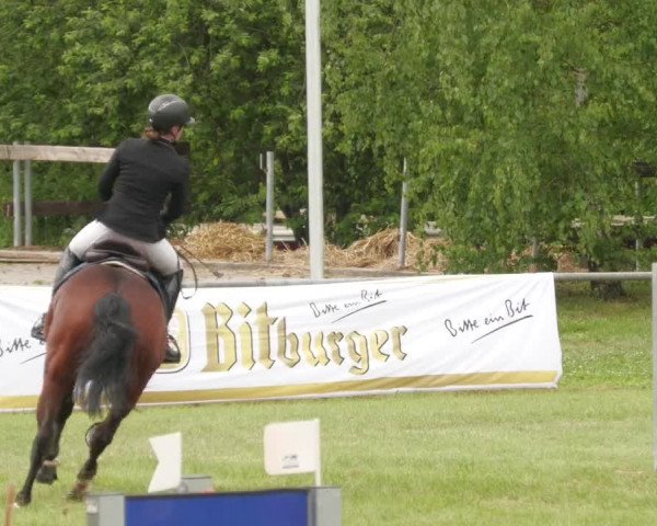 Reitturnier Leingarten 2022