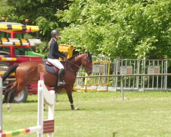 Reitturnier Leingarten 2022